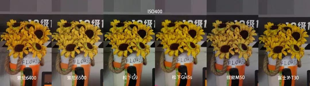 横评|索尼A6400、A6500、松下G9、GH5S、富士X-T30和佳能M50