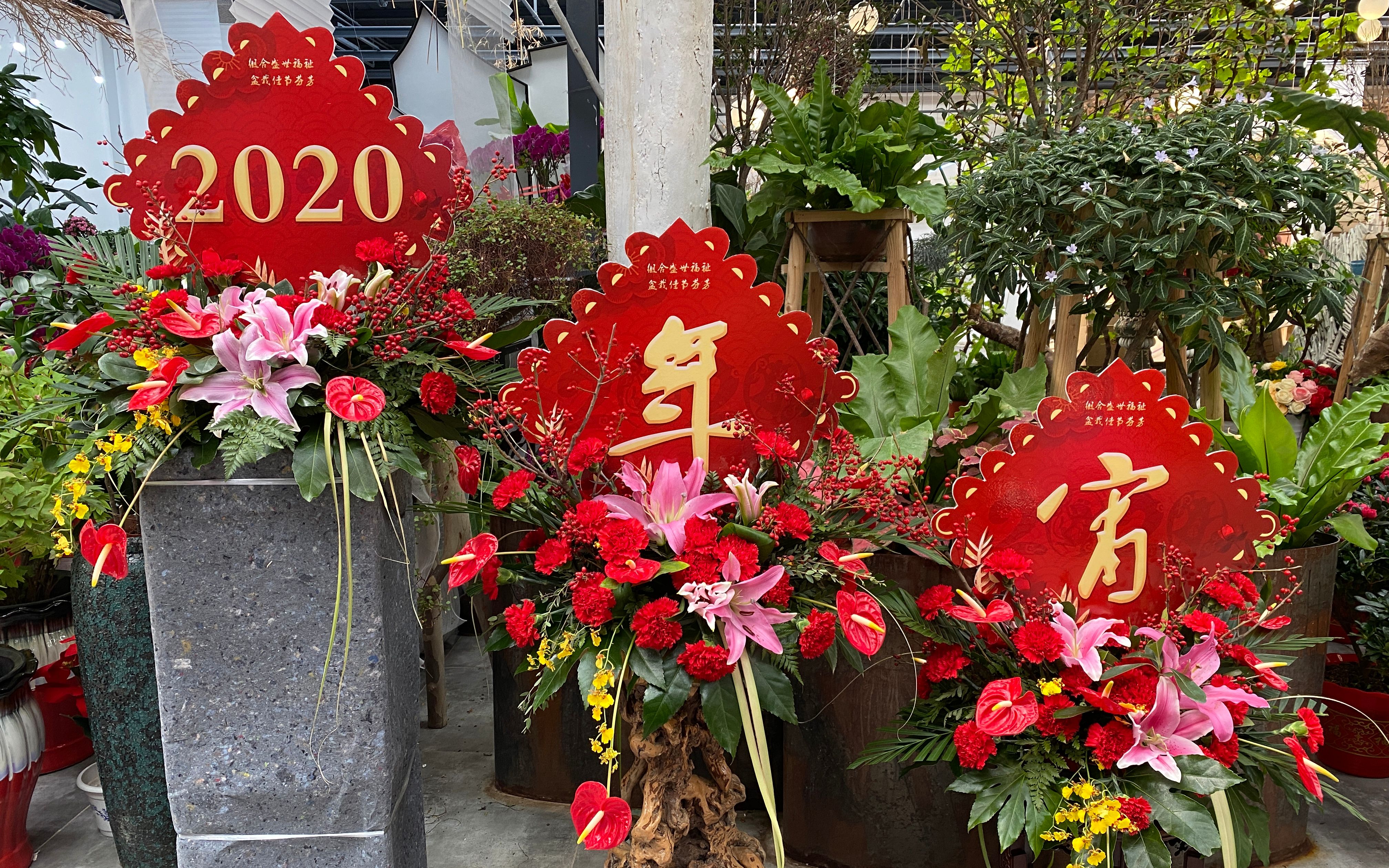 北京年宵花产业介绍,北京年宵花产业源头