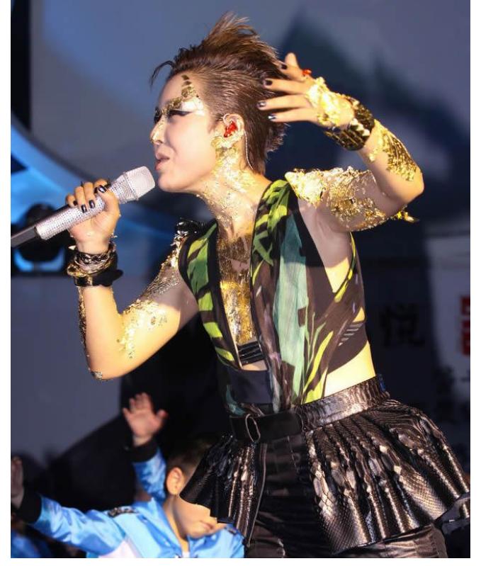 红极一时却消失的四位歌手,当年红极一时后就消失的十位歌手