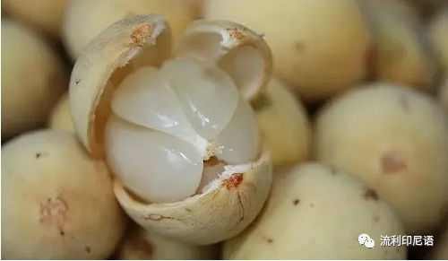 清凉一夏愉快吃瓜—印尼常见水果大全