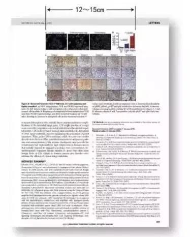 sci论文插图,医学sci论文插图教程