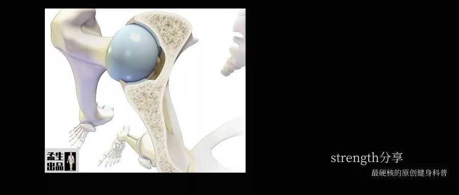 盂与臼——关节盂与关节臼的汉字渊源