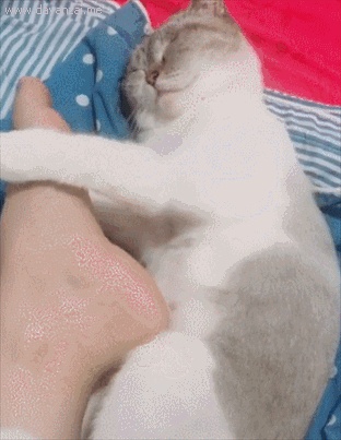 地震求生与自救技巧,生存狂在野外怎么逃生