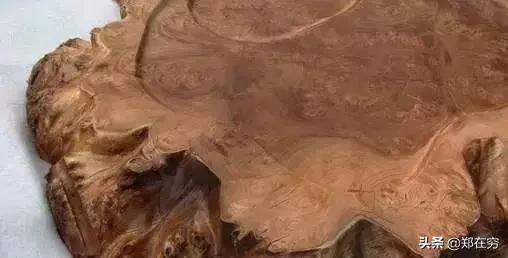 带你认识两种实木家具榫卯结构,带你认识100种鸟