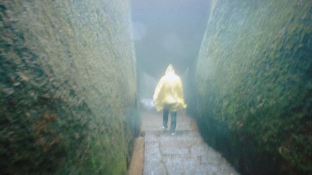 福鼎旅游数据,福鼎纪录片