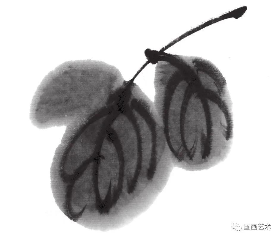 国画写意菊花龙爪菊,写意菊花画法教程简单