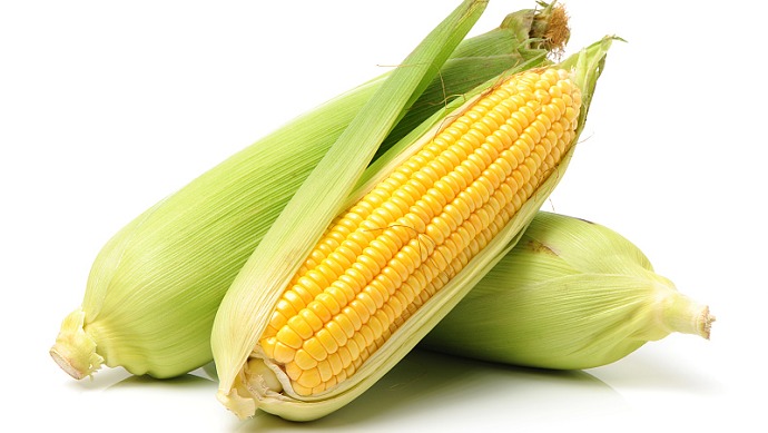 秋季蔬菜吃哪些好,夏季到了秋季吃什么蔬菜最有营养