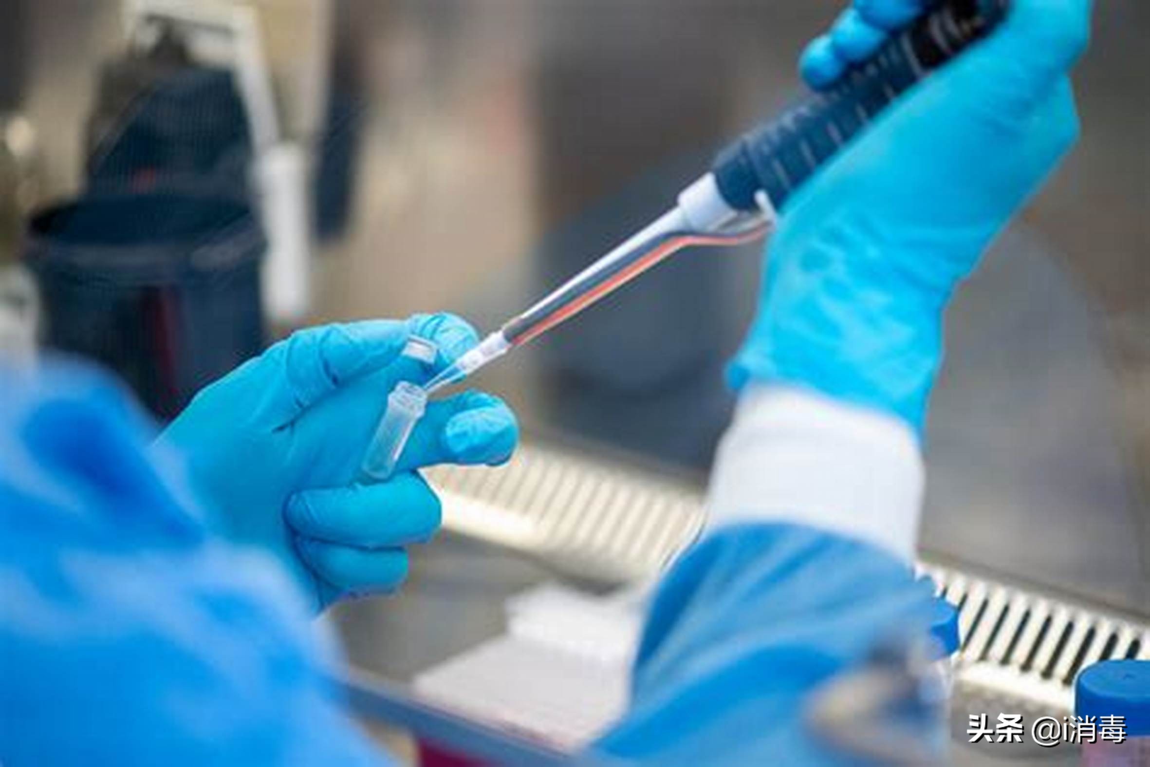 新冠肺炎核酸检测数值多少算阳性,感染了新冠几天核酸检测会显阳性