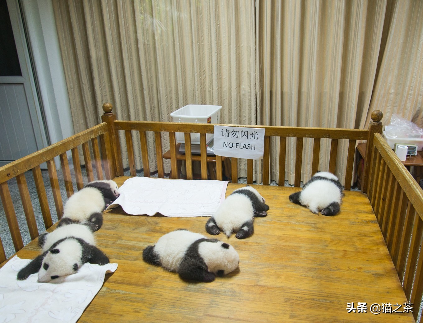 成都必吃的10天攻略,成都出发两天一夜美食之旅