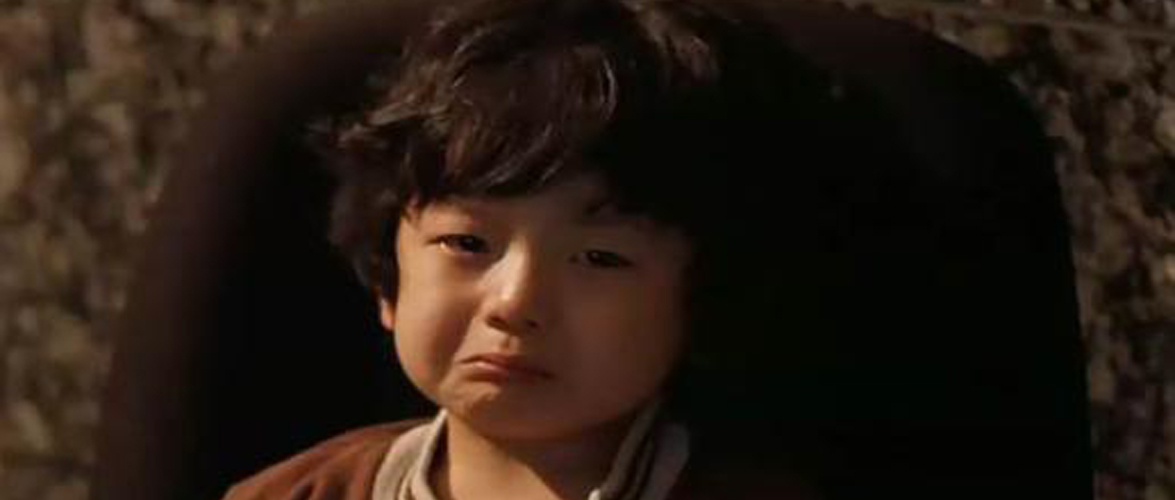 支付宝买的基金一直跌该怎么办 (跌得太惨了该怎么办)