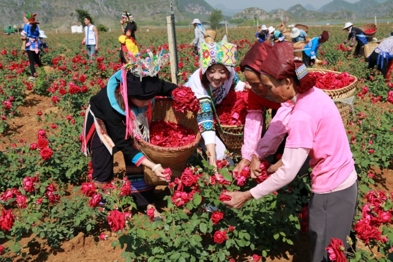 国庆中秋景区免费打折时间,中秋节10余景区40余项活动等你来