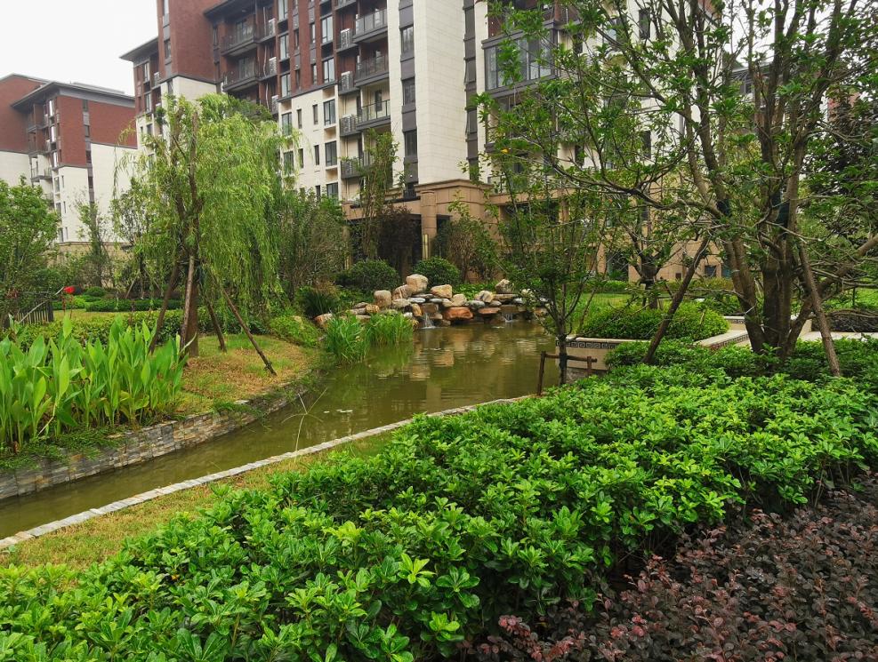 中国十大物业品牌排名,十大最强物业排名