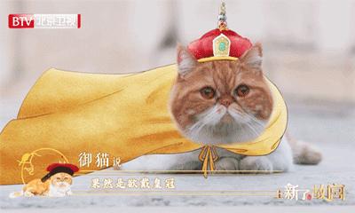 过去老师拖着我去的博物馆,现在成了我的买买买胜地?