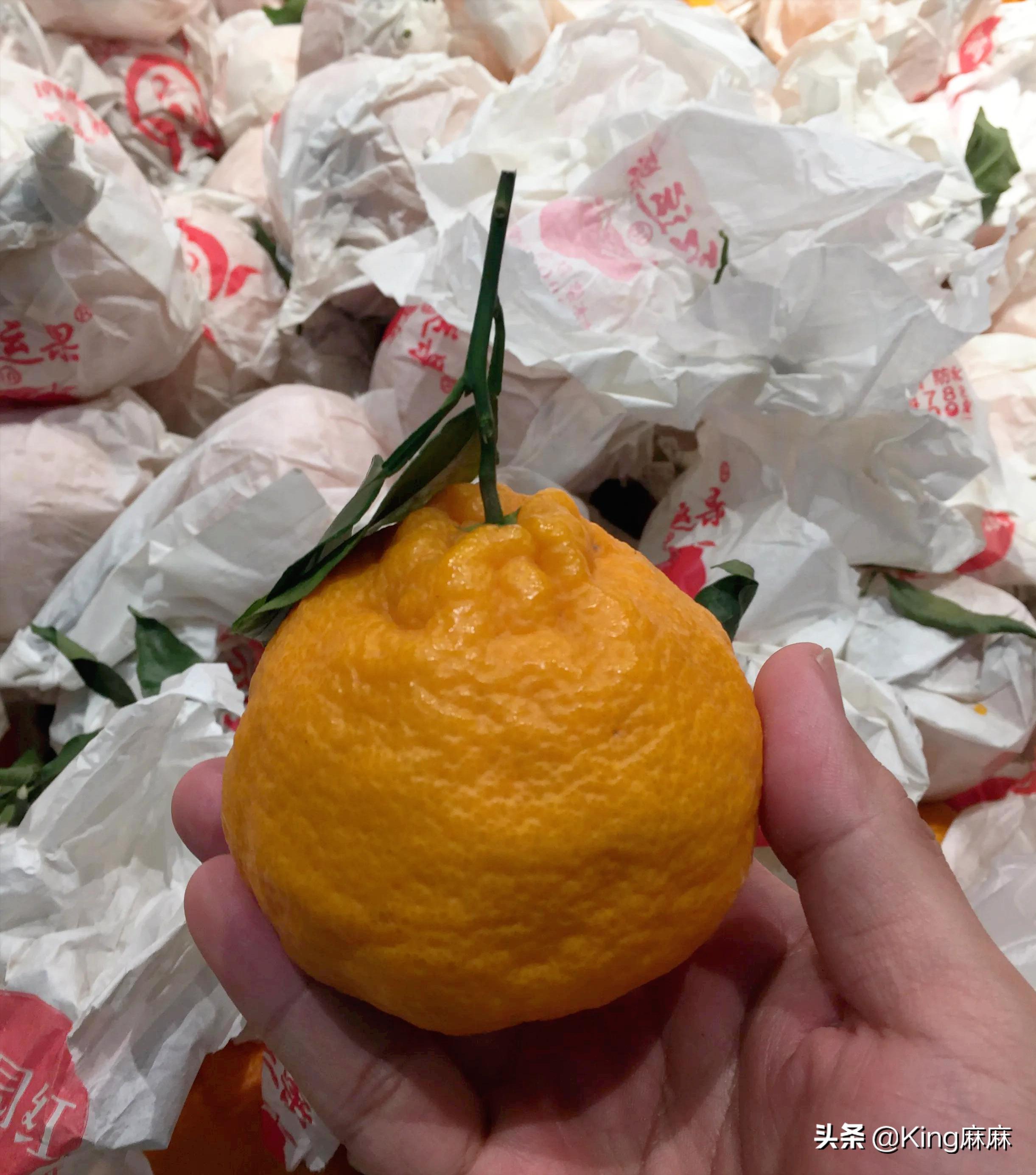 丑柑分公母吗,不知火丑柑怎么挑公母