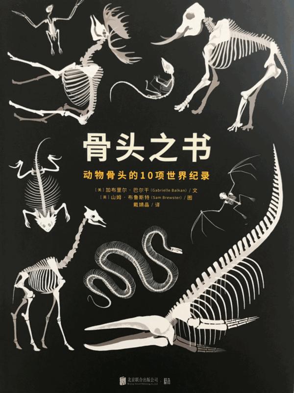 给孩子的自然科普书,3-6岁科技大探秘五大科普知识绘本