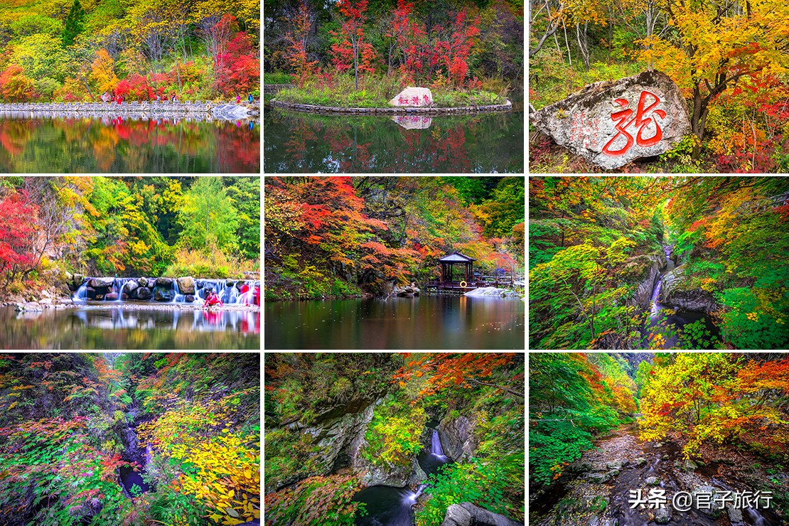中华枫叶之路自驾游攻略,中华枫叶大道自驾游路线