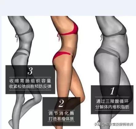 针灸减肥效果好吗大概需要多少钱,针灸埋线减肥是通过什么原理减肥