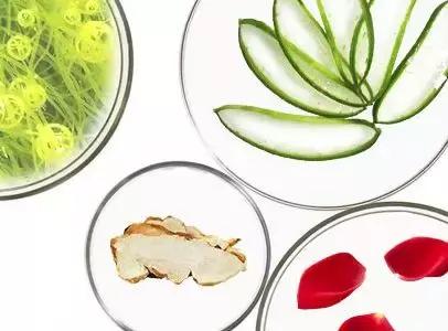 宝石护肤,日本人用得多的护肤品