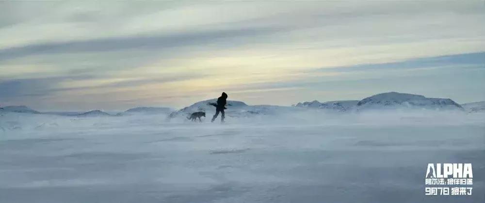 阿尔法｜如果文明是卑躬屈膝，我会让你看到野蛮的骄傲
