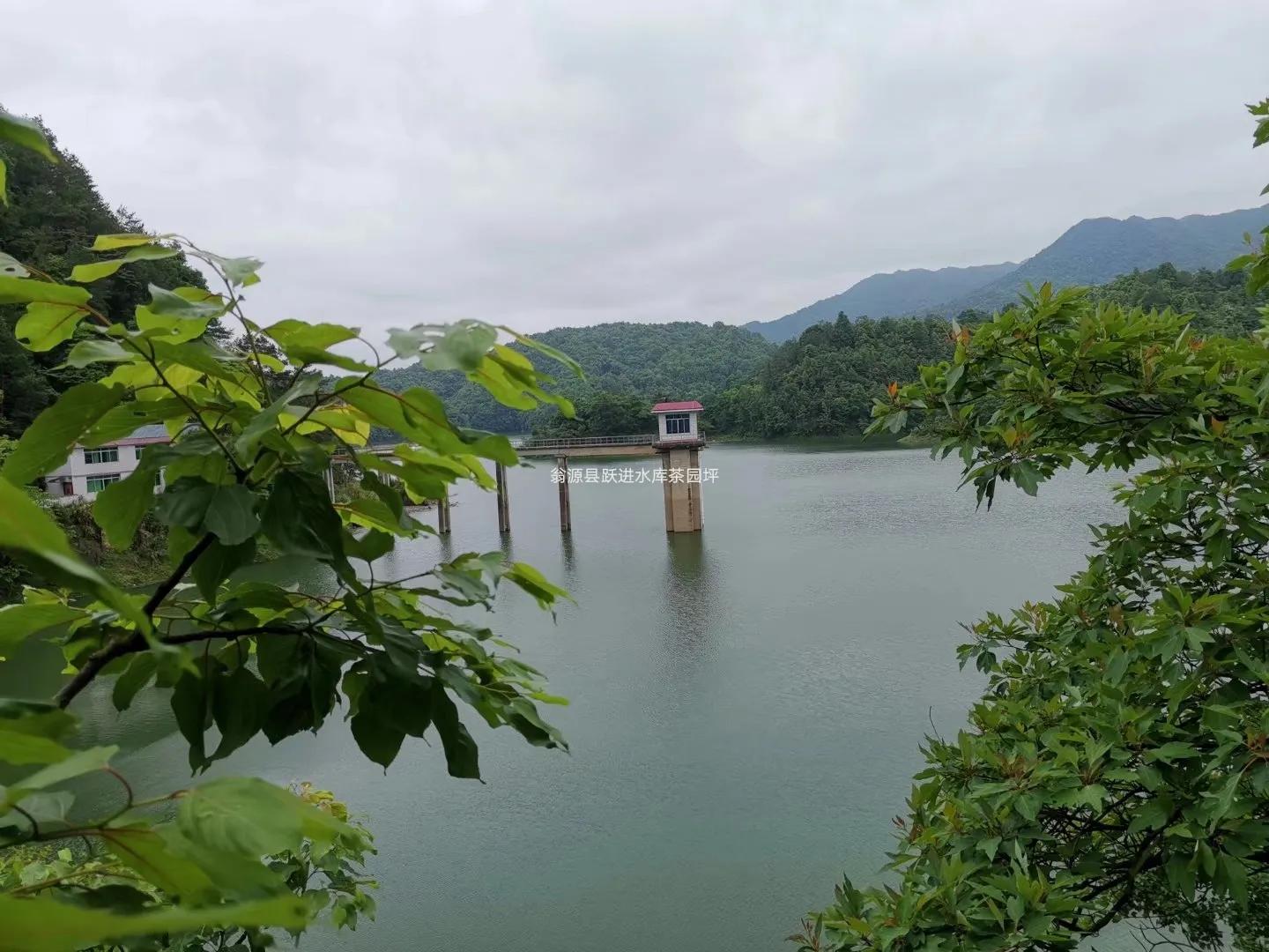 李东垣的补中益气汤原方剂量,补中益气汤可治七种疑难杂症