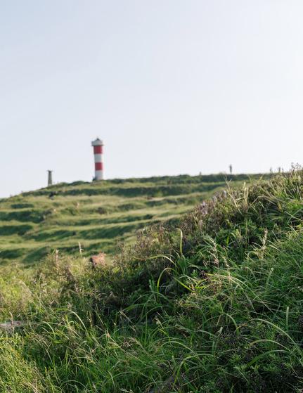 厦门最值得去的几个地方,厦门值得去的三个地方