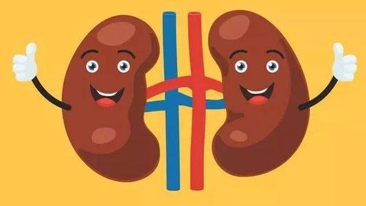 偷偷告诉你一个补肾小妙招,其实补肾很简单一个小方法搞定