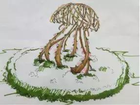 “古蜀寿安杯首届高校植物编艺创意设计邀请赛”结队仪式