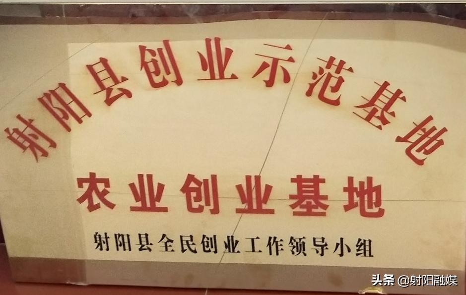 全市唯一！射阳的这个村不简单，再次入选“国字号”名单