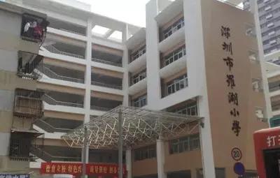 罗湖区小学第一梯队是哪几所,罗湖区历年小学排名一览表