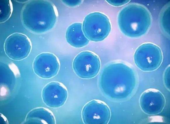 癫痫治疗仪能治好癫痫病吗,癫痫激光治疗仪