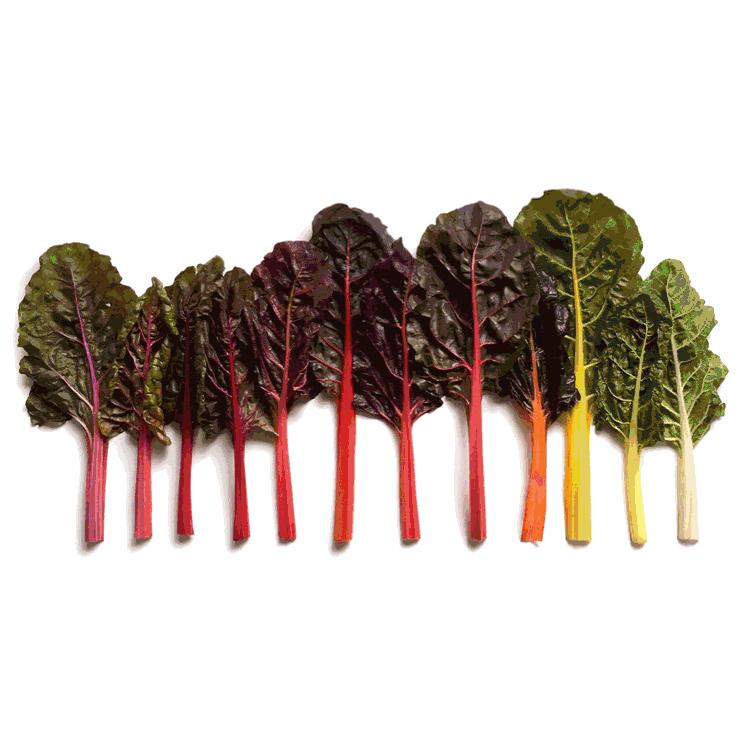 唯有美食治愈强迫症患者,强迫症吃各种美食