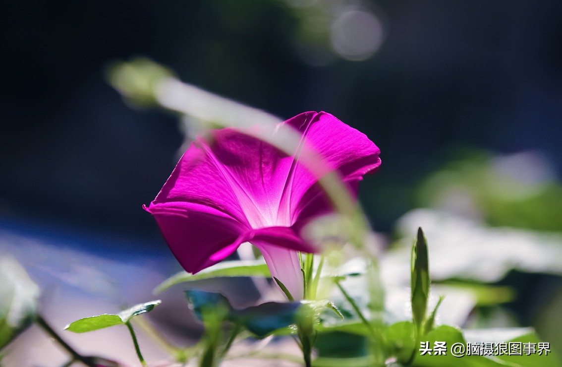 佳能6d现在有新的吗,佳能6d相机寿命多少时间