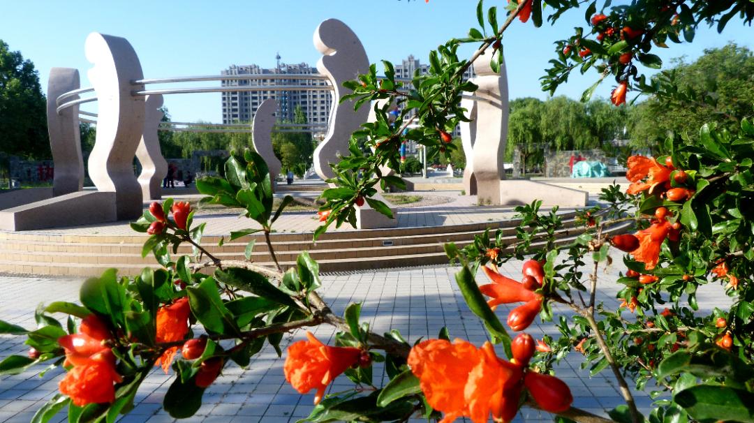 延津黄河故事,延津古黄河