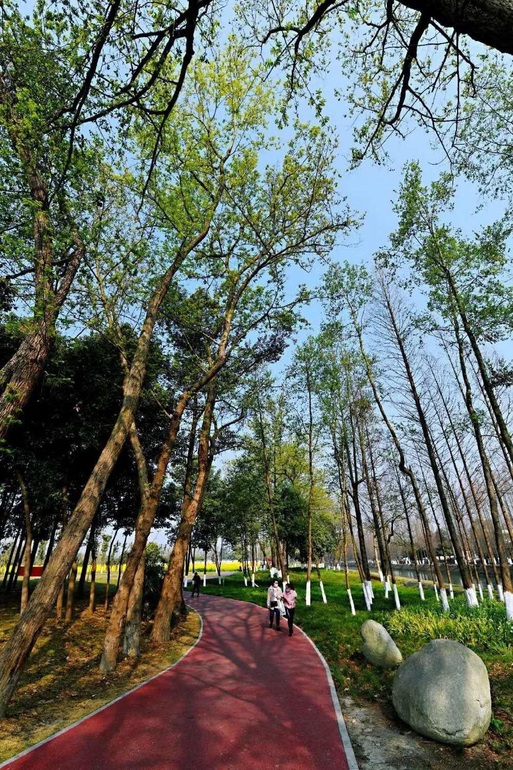 安靖锦绣滨河城 (一个用丝线绣出来的锦绣滨河之城)