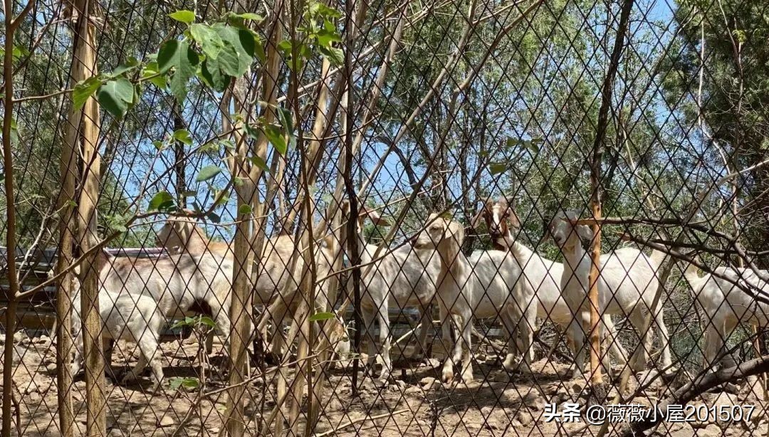 河南中岳嵩山,河南登封中岳嵩山的三教文化