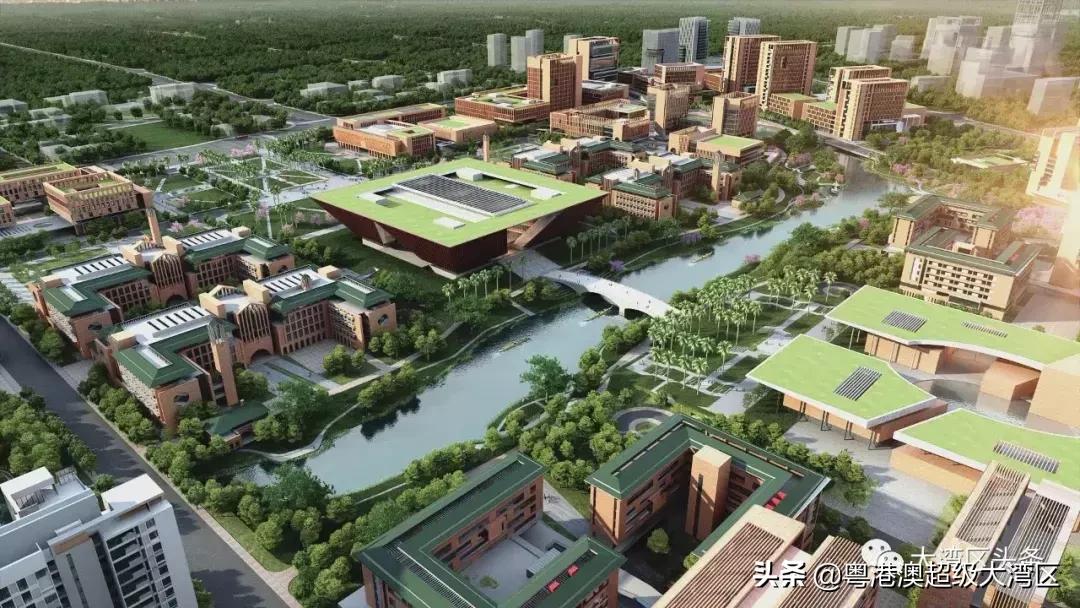 粤港澳大湾区大学生机遇与挑战,粤港澳大湾区热门专业