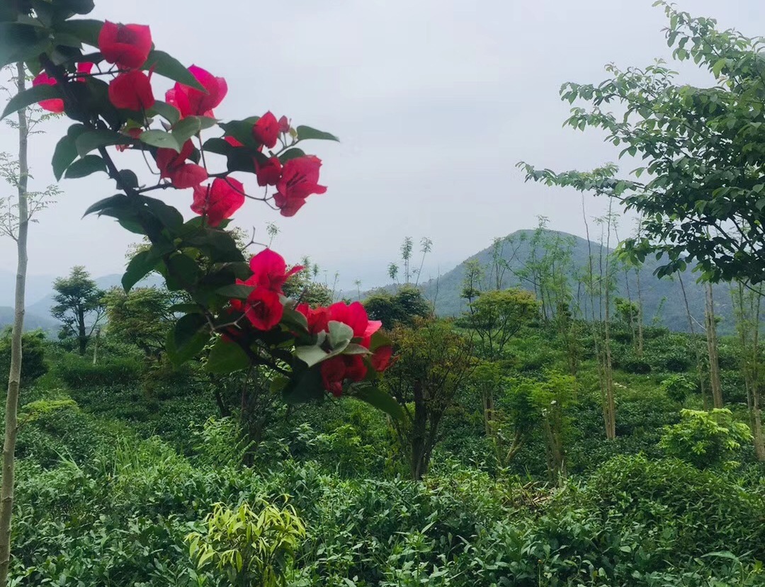 小孩为什么容易感冒咳嗽,小孩容易感冒咳嗽什么原因