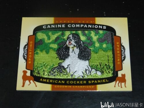 怎样入坑赚钱,下赛季值得入手的球员球星卡