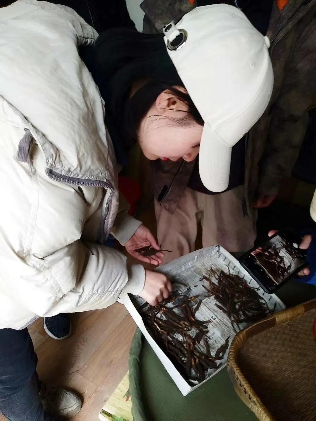 十年后农村女孩逆袭成为女总,一个农村姑娘的十年从乡村到城市