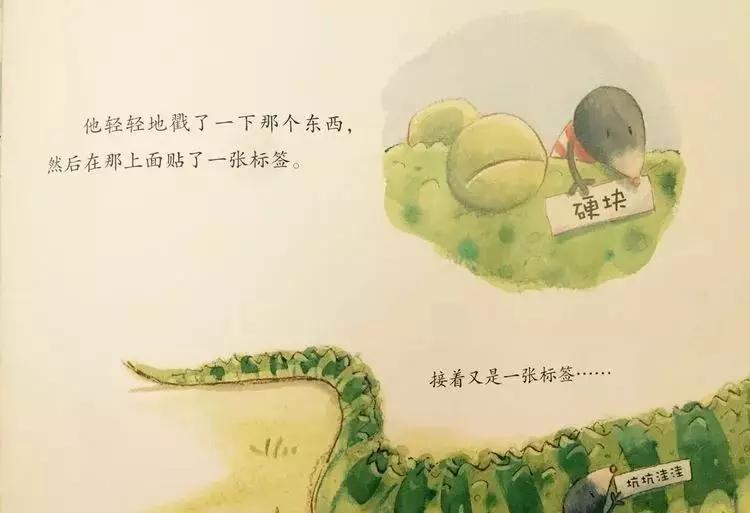 悦宝园主题课程推荐:鳄鱼|AlligatorsandCrocs