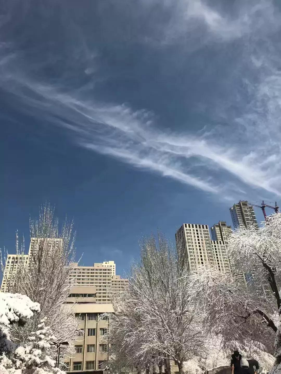 辽宁大学和鲁迅美术学院,辽宁省鲁迅美术学院是985吗