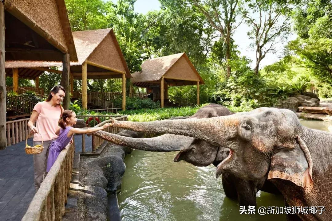 在新加坡有20个超赞的生日idea，让寿星感动到哭~