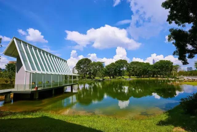 深圳最美婚姻登记中心,深圳最美婚姻登记攻略