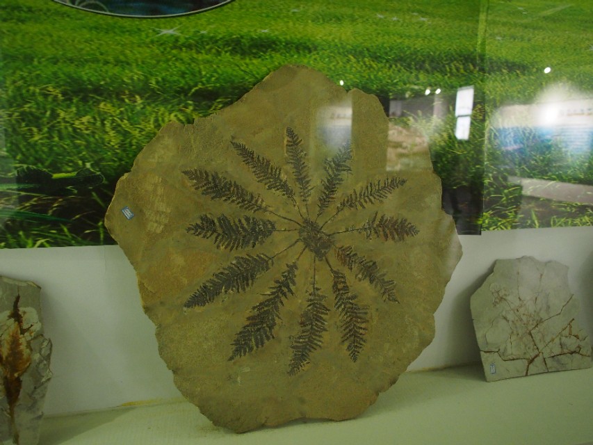 辽宁省兴城市菊花岛,辽宁兴城觉华岛