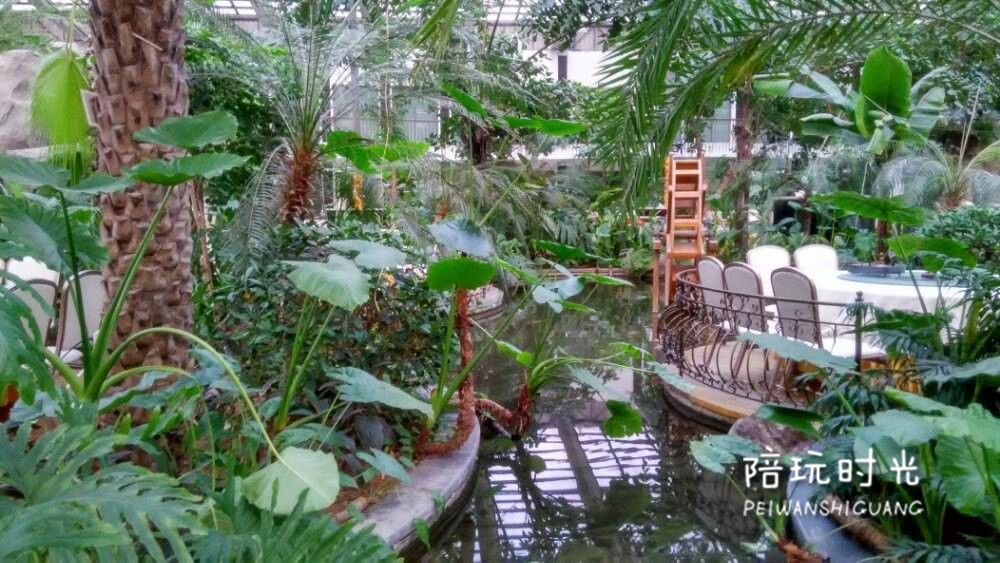 武汉旅游攻略来了一日游吃什么,武汉旅游攻略来了详细