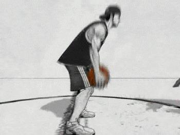 这只鹦鹉一直以为他是一只猴,所以每天都在重复做这个动作