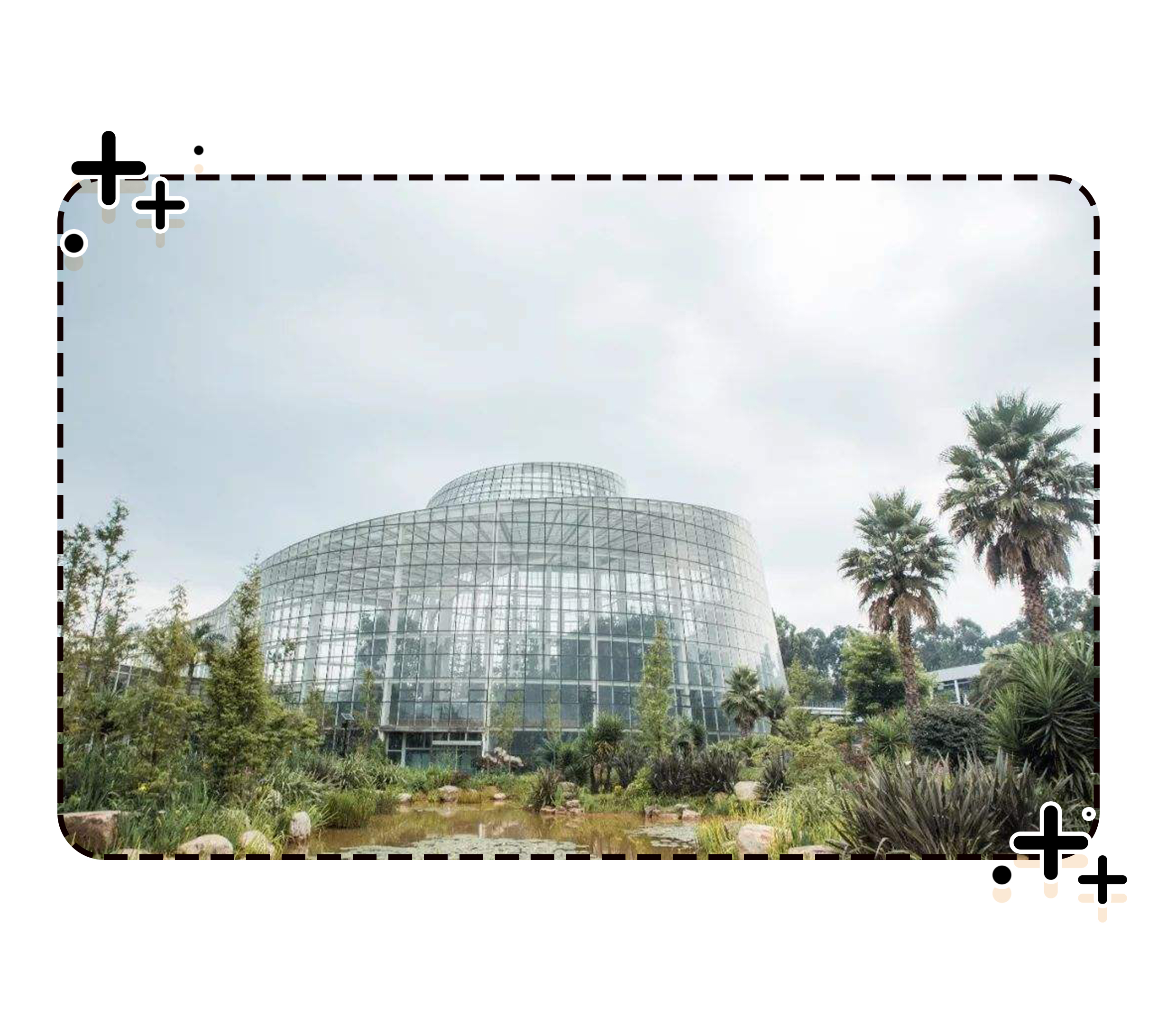 为了阻止荔枝集体自杀，古往今来荔枝控们费尽心机（菲李漫画）