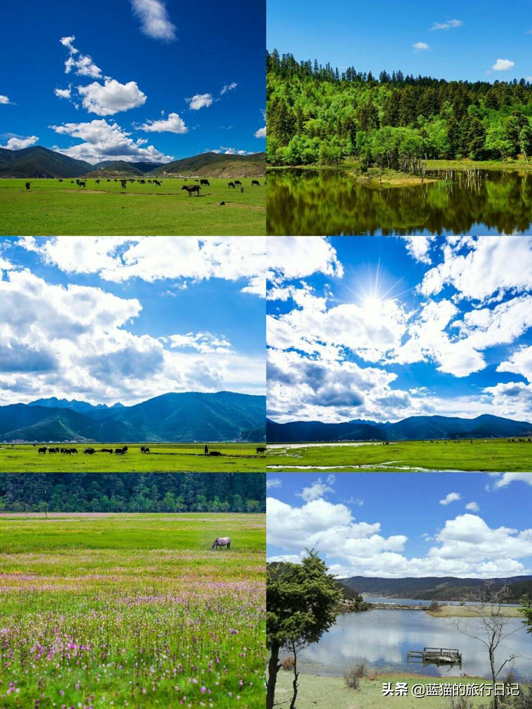 云南旅游攻略必去的景点大全,云南旅游攻略必去十大景点合集