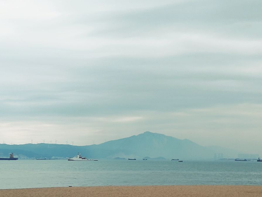 我的旅行日记夏日里的厦门,我的旅行日记厦门园林植物园