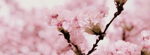 推荐6款特别好用的护肤品,修复皮肤屏障保湿的护肤品平价